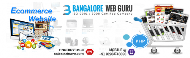 Custom eCommerce Website Design & Development company