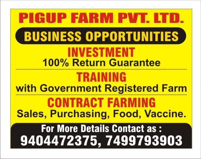 PIG FARMING & SERVICES