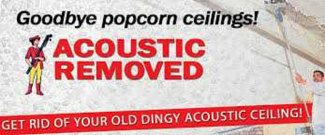 Popcorn Ceiling Removal Contractors Ballard