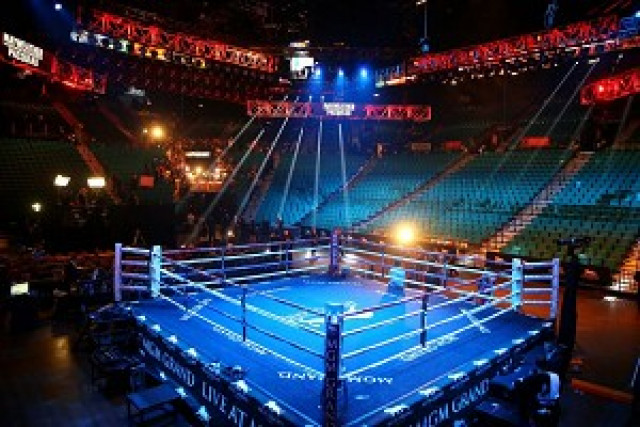 Boxing ring for sale| boxing reflex stick 