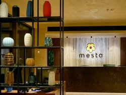 Choose the Best Hotels in Wayanad, Kerala - Mesta Hotel