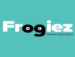 Frogiez Inc | Digital Marketing Company In Nagda