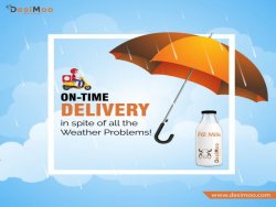 A2 Cow Milk in Gurgaon | A2 Milk Home Delivery | DesiMoo