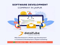 Software Development IT Company in Jaipur | Datacube Softech