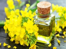 Import Edible Oils Online through Tradologie.com