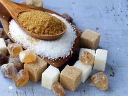 Export Sugar in bulk online through Tradologie.com