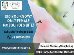 Mosquito Control Services in Goa
